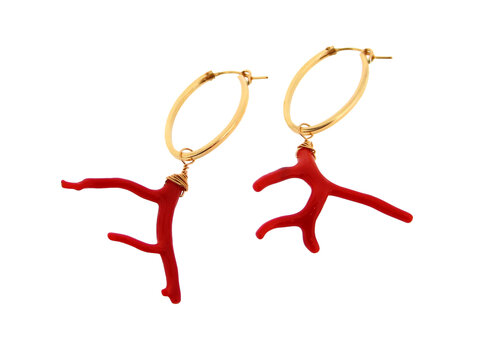 Red coral twigs set 1