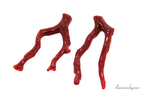1 pair of Red Coral sprigs set 2 'Corallium Rubrum'