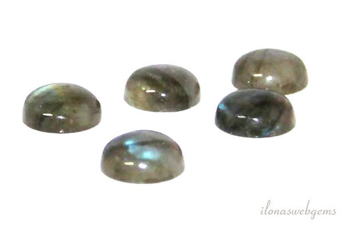 Labradoriet cabochon 6mm