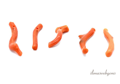 1x Roter Korallenzweig glatt 'Corallium Rubrum' ca. 20x2 mm