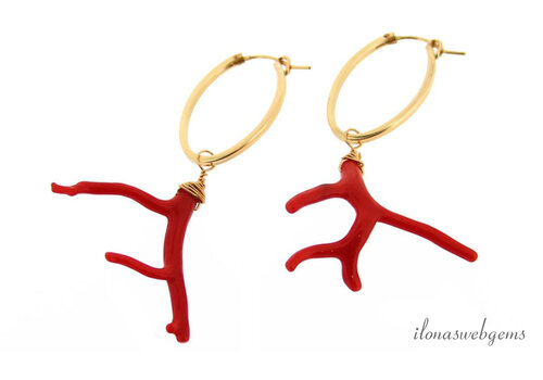 14ct/20 Gold filled hoop earrings with Coral sprig 'Corallium Rubrum'
