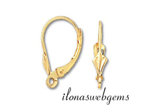 1 Paar Ohrringhaken aus 14 Karat Gold, ca. 16 x 10,5 mm