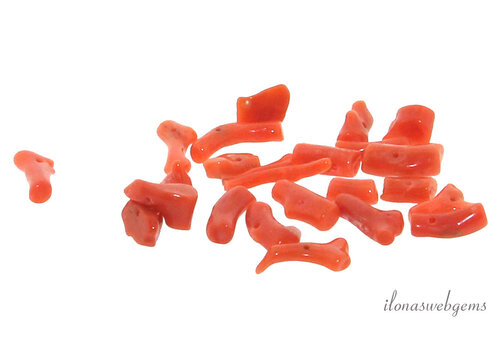 1 Pair of Red Coral twigs 'Corallium Rubrum' Small