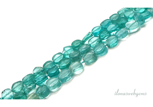 Apatite beads coins approx. 5mm