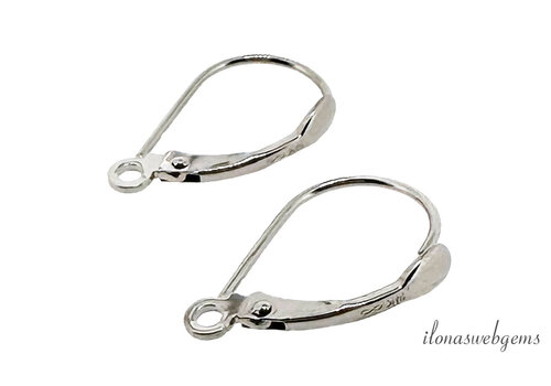 14 Karaat wit goud oorhaakjes ca. 16x9.5mm