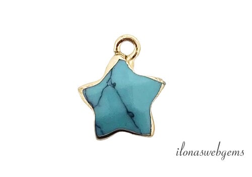 Minimalitisch Vermeil Turquoise Howliet ster hanger ca.