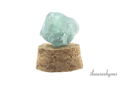 Powerstone in Fluorite bell jar