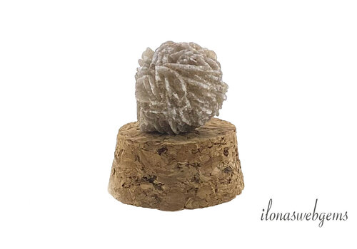 Kraftstein in einer Glasglocke Wüstenrose