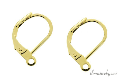 1 paar Premium gold plated oorhaakjes ca. 16.5x10mm