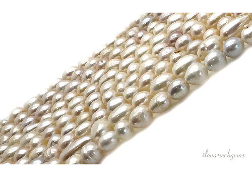 Süßwasserperlen ca. 7-9mm