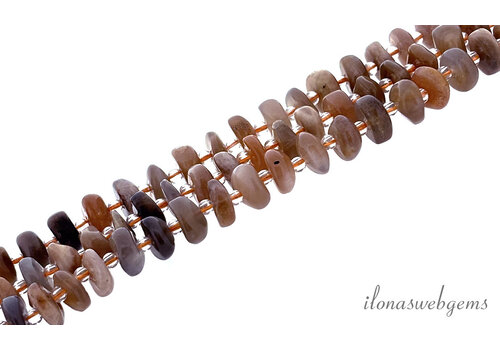 Grijze Maansteen kralen ca. 10x5mm