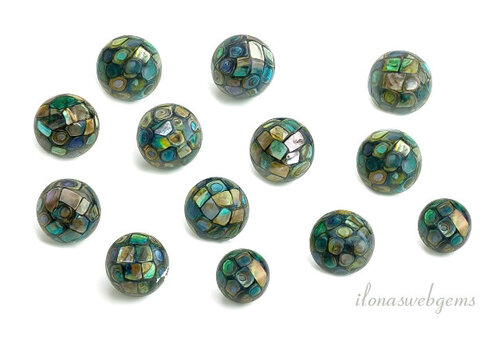 1 stuk Abalone kraal ca. mm