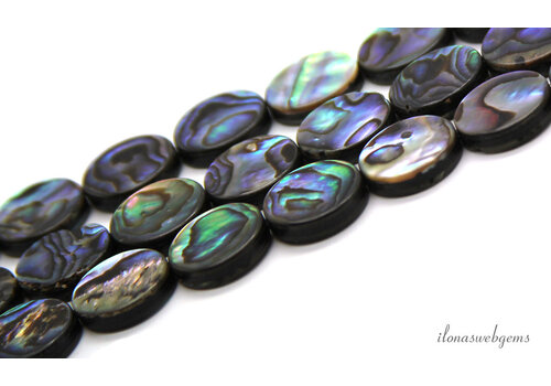 Abalone kralen coin ca. 14mm