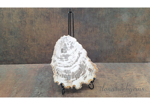 Display voor stenen zwart ca. 29.5x17.5cm