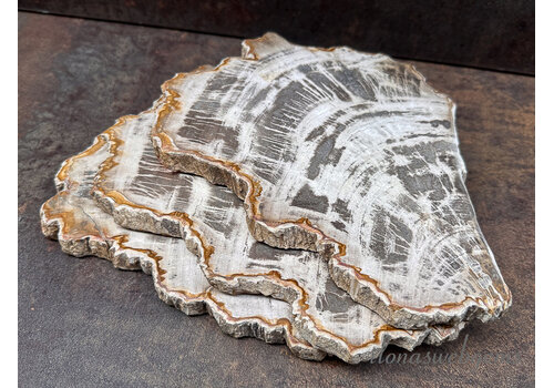 Versteend houten schijf ca. 23x18x1.5cm