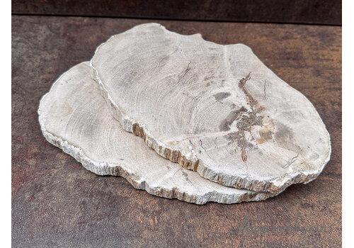 Versteend hout wit ca. 21x17x1.5cm