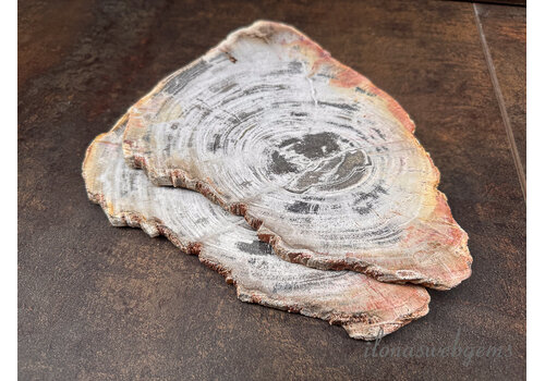 Versteend hout wit ca. 23x17x1cm