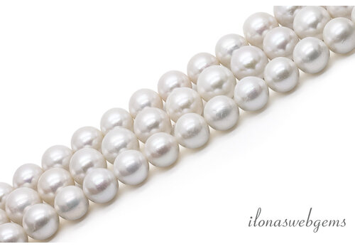 Freshwater pearls, round, white, approx. 12mm