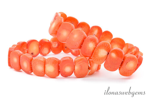 Coral bracelet approx. 15x11x4mm