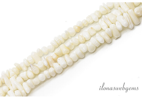 White coral branches approx. 10x3mm