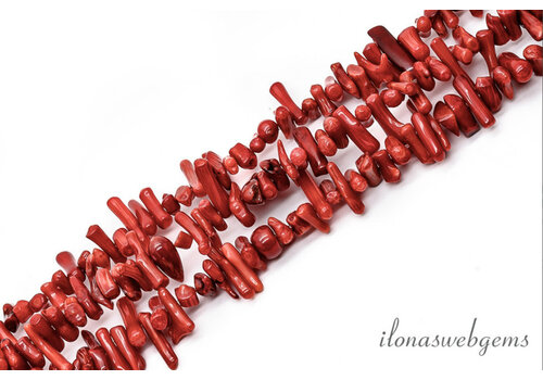 Koraal takjes rood ca. 10x2.5mm