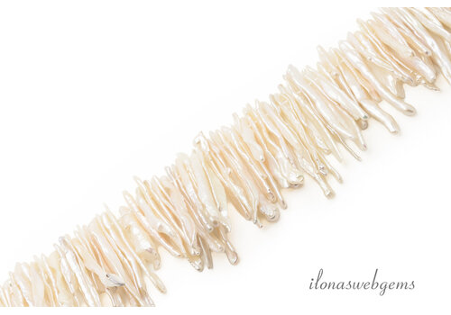 Biwaparels sticks ca. 30 tot 45mmx3mm
