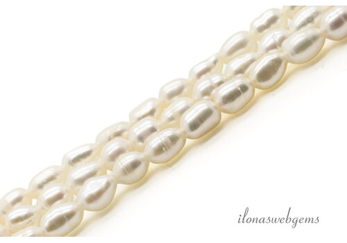 Freshwater pearls approx. 5x3mm