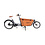 Babboe Babboe City Mountain 500Wh - Cargo Bike