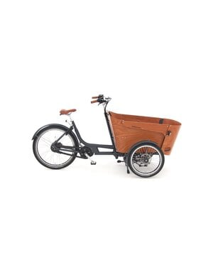  BABBOE Carve Mountain 500Wh