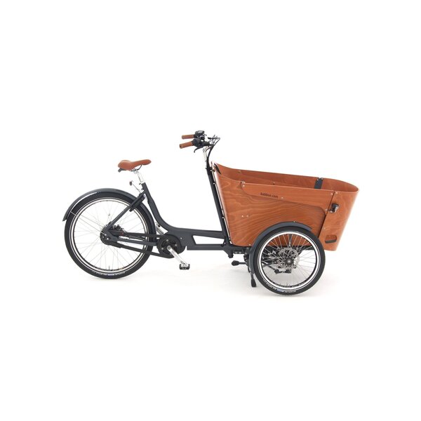 BABBOE Carve Mountain 500Wh