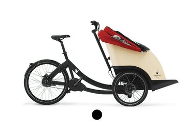 Trio Bike