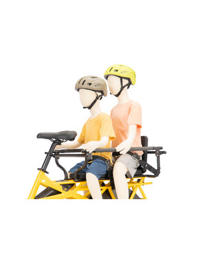Tern Tern Sidekick Seat Belt