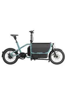 Riese & Muller Ex Demo, Riese&Muller Carrie Vario T , Intuvia, 545wh, (Aqua colour)