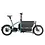 Riese & Muller Riese&Muller Carrie Vario T , Intuvia, 545wh, (Aqua colour)