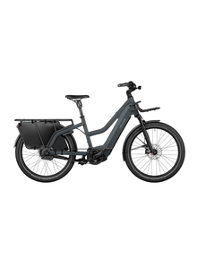 Riese & Muller Multicharger2 Mixte GT Vario 47cm