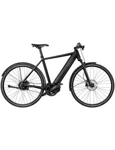 Riese & Muller Riese & Muller Roadster4 vario