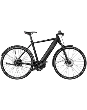 Riese & Muller Riese & Muller Roadster4 vario