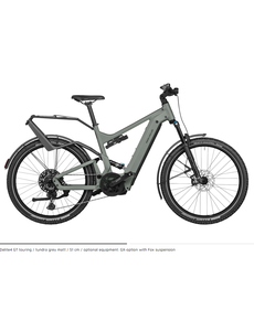 Riese & Muller Riese & Muller Delite4 GT Vario