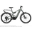 Riese & Muller Riese & Muller Delite4 GT Vario