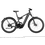 Riese & Muller Riese & Muller Delite4 GT Vario