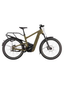 Riese & Muller Riese & Muller Delite5 GT Pinion