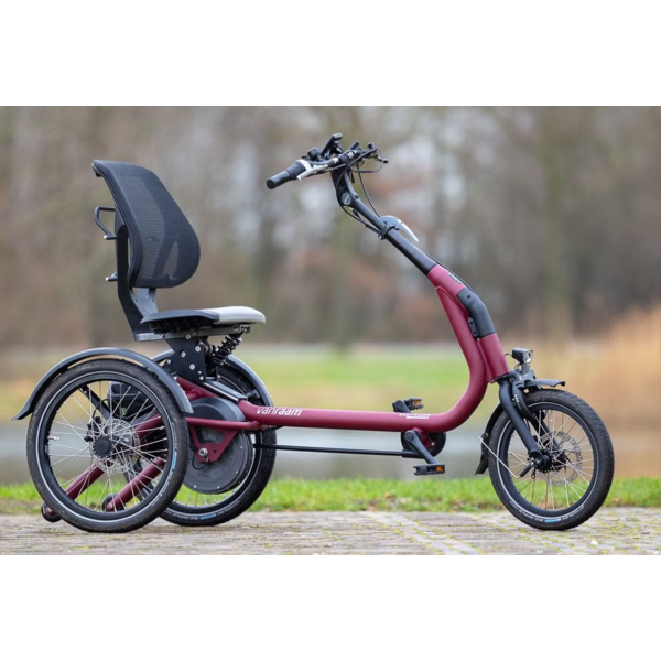 Van Raam VanRaam Easy Rider Compact - Mountain gears conf. code: KH6KD5SP4V (color yellow orange matt)