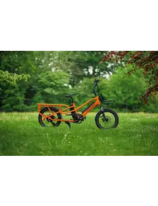 Roxform Roxform PORTO L Orange