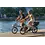Tern Tern Vektron P5i Gen 4 Electric 400Wh Smart System Folding Bike