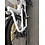 Urban Arrow Ex Hire/Demo Urban Arrow Cargo Large With  FREE Aluminium Box