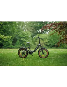 Roxform Roxform Ignis