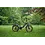 Roxform Roxform Ignis