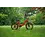 Roxform Roxform Ignis