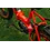 Roxform Roxform Ignis