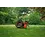 Roxform Roxform Ignis